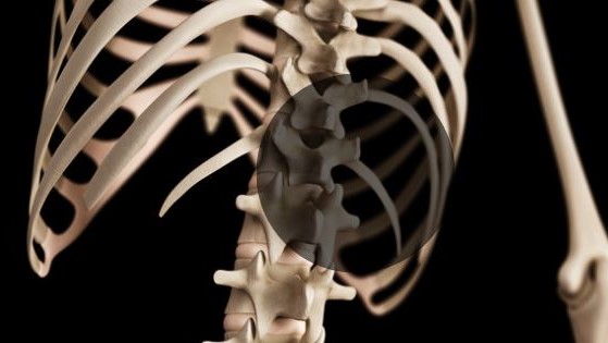 Are there any drawbacks to removing the ribs? 